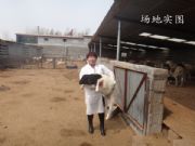 ��ǡ�h���^�Ų��d��r��