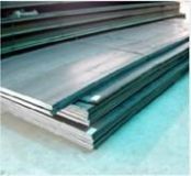 1016䓲� 1019̼� 1022�M��䓲�