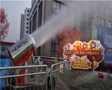 ��ѩ�C��ѩ��ʽ �˹���ѩ�CЧ���